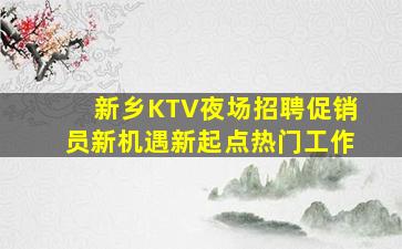 新乡KTV夜场招聘促销员新机遇新起点热门工作